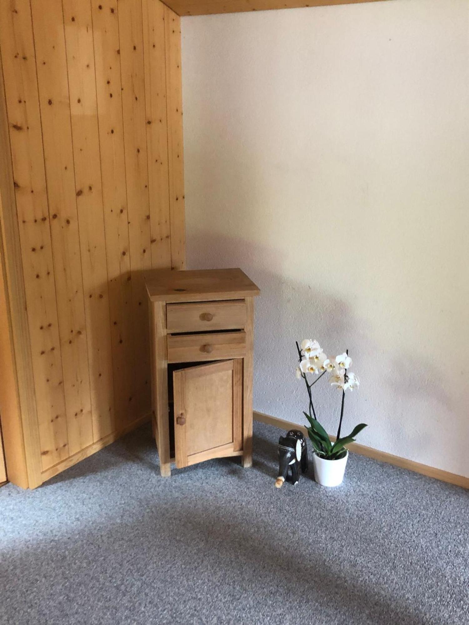 Mountain Oasis Apartment Kandersteg-Adelboden Kandergrund Екстериор снимка